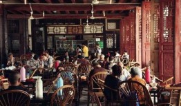 成都茶馆爆料最新,最新茶事风云，一网打尽茶界新鲜事