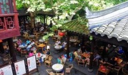 成都茶馆爆料最新,最新茶事风云，一网打尽茶界新鲜事