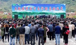 宁南最新事件爆料新闻,揭秘背后真相，引发社会广泛关注