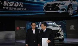 比亚迪高管爆料最新情况,新能源汽车产业变革与未来展望