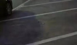 东莞车主爆料最新消息,揭秘东莞交通新动态与车主心声