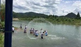 新瓜最新爆料天台