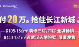 武汉小升初最新爆料新闻,最新爆料揭示关键变化