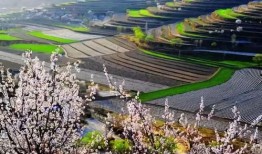 固原最新网红爆料