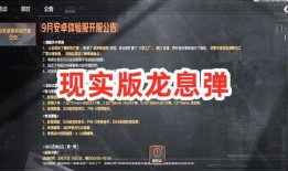 暗区最新视频爆料,神秘事件背后的惊人真相