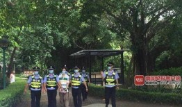 南宁芒果树爆料案件最新,揭秘背后惊人真相