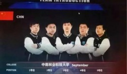 九星最新爆料新闻,最新爆料新闻背后的惊人真相