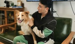 林生斌最新爆料哪里人,揭开惊人真相，人生轨迹再起波澜