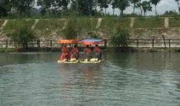 新瓜最新爆料天台