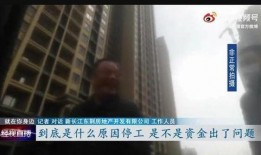 武汉胖子爆料视频最新,揭秘城市生活背后不为人知的真相