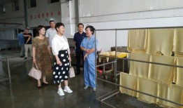 淮南八公山爆料案件最新