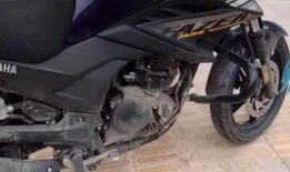 最新吃瓜爆料河南,揭秘背后惊人真相