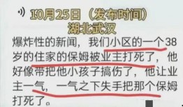上海保姆案爆料最新进展,真相逐步浮出水面，疑点待解