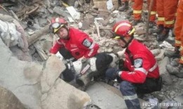 汶川大地震最新爆料,揭秘背后的真相与震撼瞬间