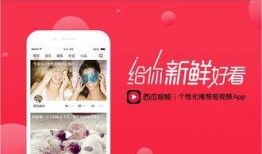 今日西瓜爆料视频最新版,揭秘娱乐圈最新动态，精彩内容抢先看！