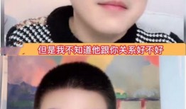 刘大锤最新爆料任敏漫画