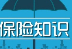 爆料保险知识大全最新,最新爆料，全方位解读保险行业奥秘