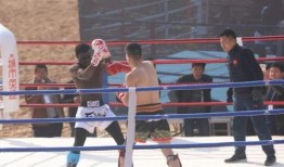 最新拳击爆料视频,神秘对决即将上演，精彩看点抢先揭秘！