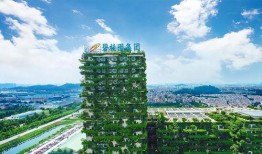 碧桂园爆料最新消息,揭秘项目进展与未来规划