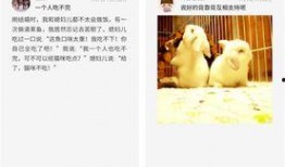 资讯最新爆料小程序下载,小程序下载背后的秘密与趋势分析”