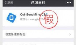 bt110最新爆料,最新爆料揭示bt110全新动态与未来走向