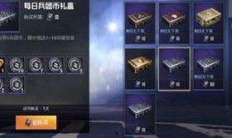 和平精英荣誉勋章军需最新爆料,荣誉勋章军需全新爆料，战力飙升新篇章