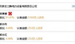 石家庄电力最新爆料,最新爆料揭示行业变革趋势