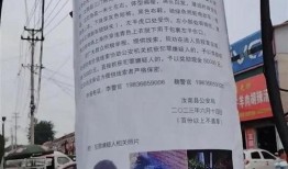 汝南一高爆料事件最新,真相与争议交织，校园风云再起