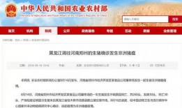 热点爆料淮南新闻最新消息,最新热点事件追踪，详情即将揭晓