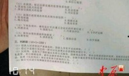 农村信用社最新爆料,揭秘金融改革背后的故事