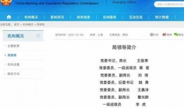 欧比岛最新爆料信息查询,揭秘神秘新玩法与华丽更新内容