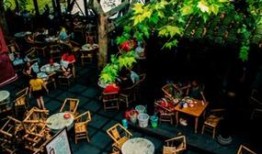 成都茶馆爆料最新,最新茶事风云，一网打尽茶界新鲜事