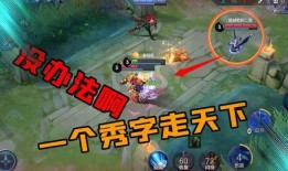 老鸟王者爆料视频大全最新