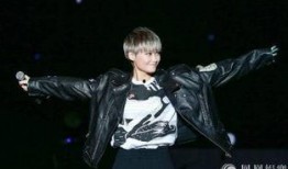 李宇春最新微博爆料,揭秘神秘计划引粉丝热议