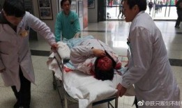 南宁芒果树爆料案件最新,揭秘背后惊人真相