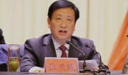 胡勇最新爆料消息,揭秘娱乐圈惊人内幕