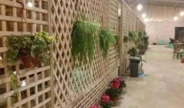 重庆地区爆料事件最新,神秘事件引发社会关注