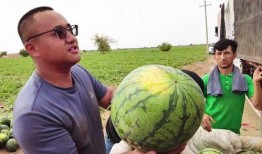 利辛吃瓜最新事件爆料新闻,最新爆料揭露惊人内幕