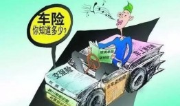 爆料保险知识大全最新,最新爆料，全方位解读保险行业奥秘