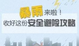 最新台风爆料新闻内容视频,揭秘“XX”台风的最新路径与影响