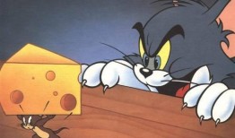 猫抓老鼠最新爆料,悬念迭起，反转不断！