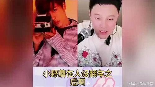 最新刘一飞爆料最近消息,揭秘娱乐圈惊人内幕